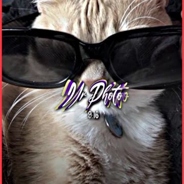 nih yg minta versi ejen jet dan roza #ejenali #janganlupasubscribe