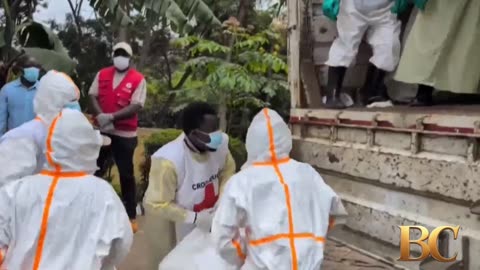 Mystery Disease Linked to Bats Kills Scores in Congo
