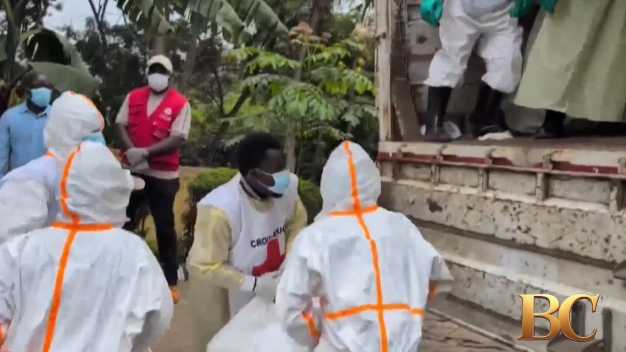 Mystery Disease Linked to Bats Kills Scores in Congo