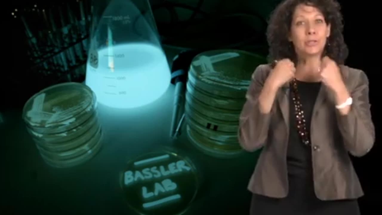 Tiny Conspiracies - Bonnie Bassler (Princeton/HHMI)