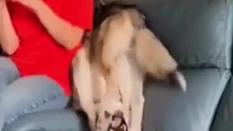 Funniest Video Compilation | Try Not to Laugh! 😂