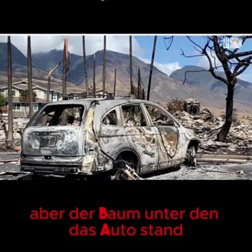 Das hatten wir auf Hawaii auch