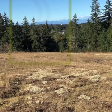 Infinite Potential | Path and Tarot Reading