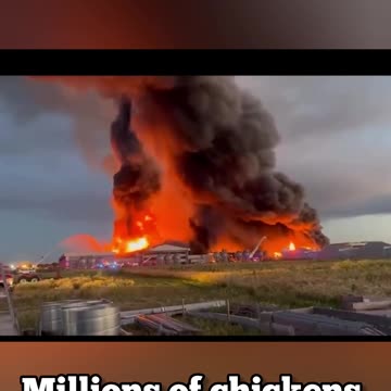 MILLIONS OF CHICKENS KILLED AFTER FIRE IN ILLINOIS!!