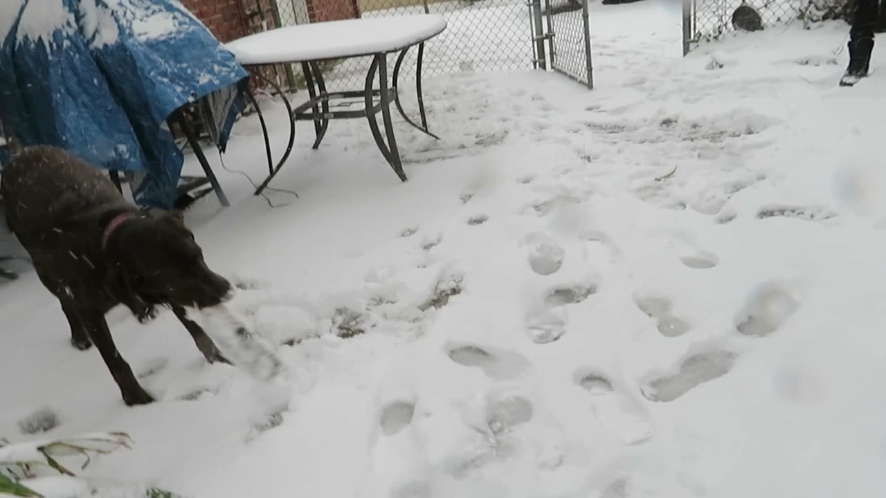 The Girls First Snowfall