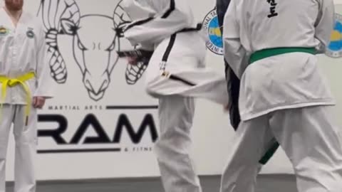 Taekwondo