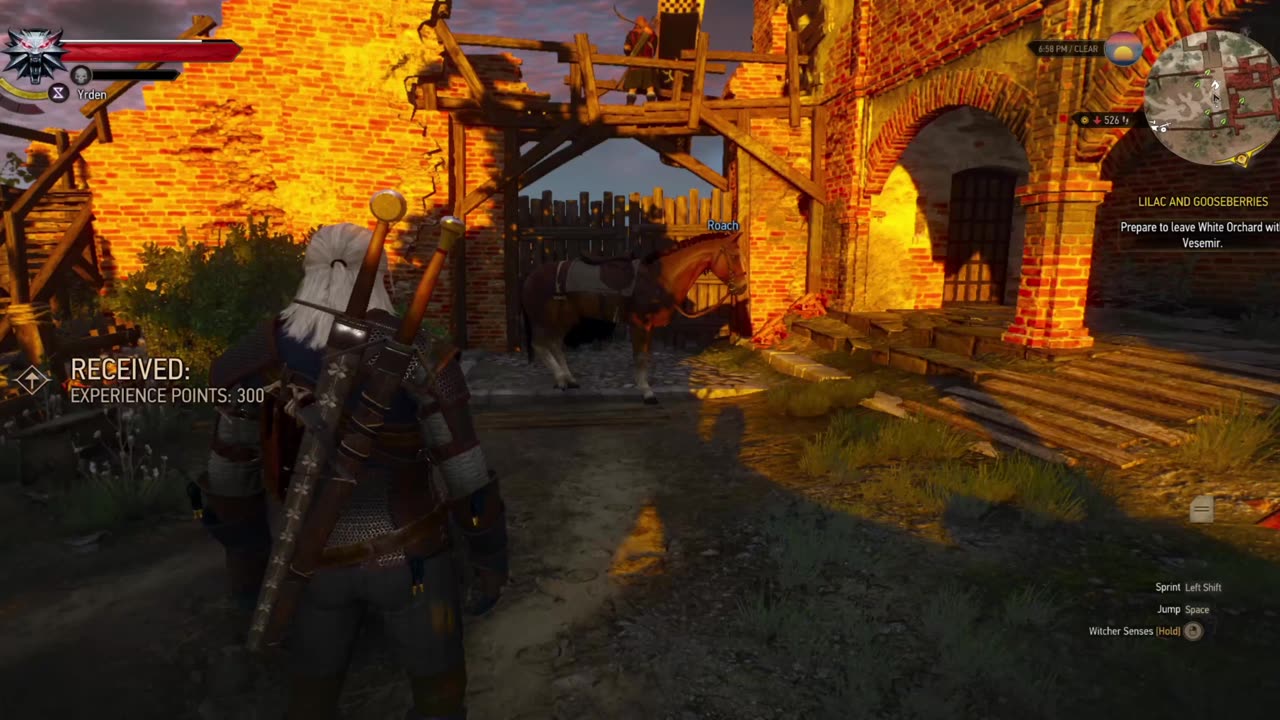 The Witcher 3