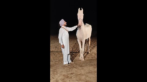 sarpanch aa