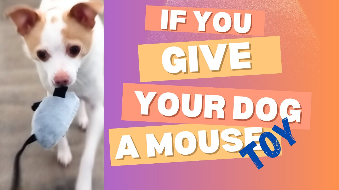 Dog's Hilarious Reaction to a Moving Mouse Toy