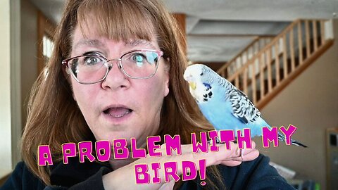 There's a PROBLEM with my BRAND new BIRD!