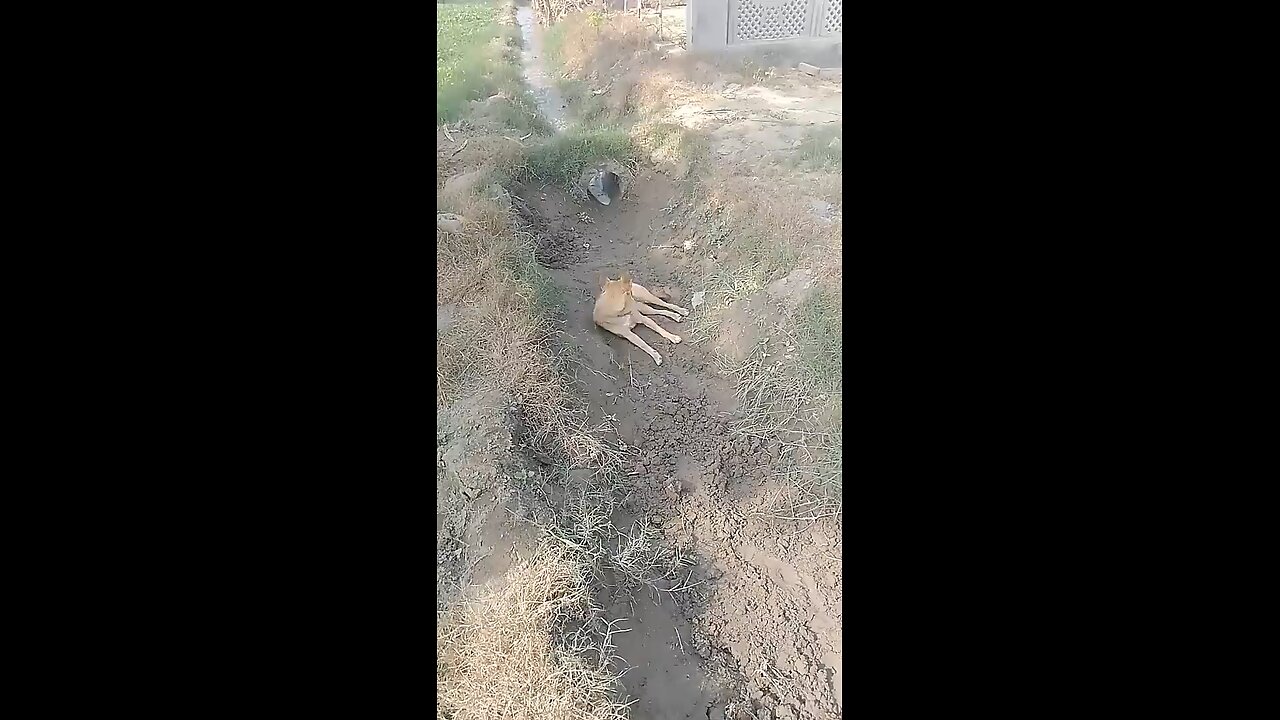 no no no..... 😆😆😆