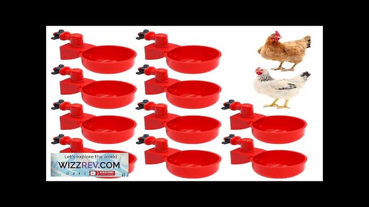 Automatic Chicken Water Feed Drinking Bowl Kit Farm Coop Poultry Waterer Drinking Review