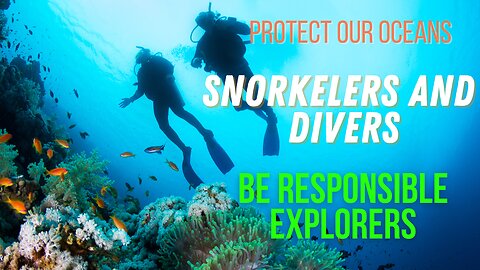 Snorkelers and Divers, Be Responsible Explorers