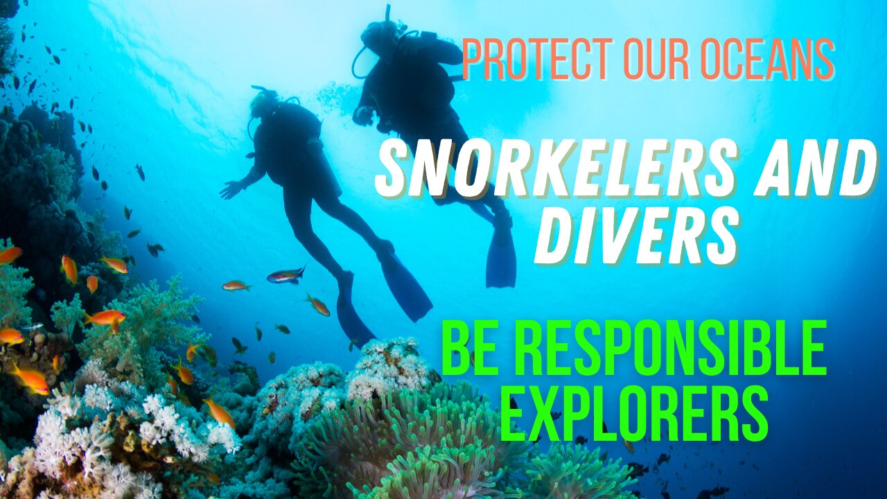 Snorkelers and Divers, Be Responsible Explorers