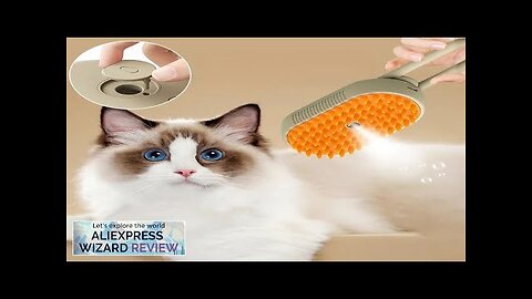 Pet Steam Brush Cat Dog Cleaning Steamy Spray Massage Beauty Comb 3 Review