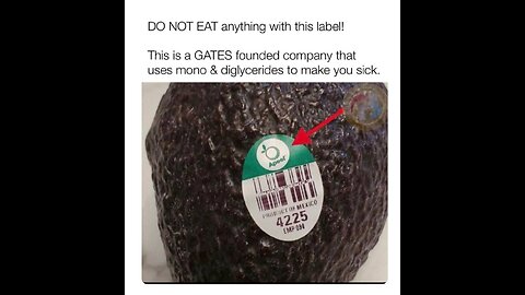GMO...Is our food safe???
