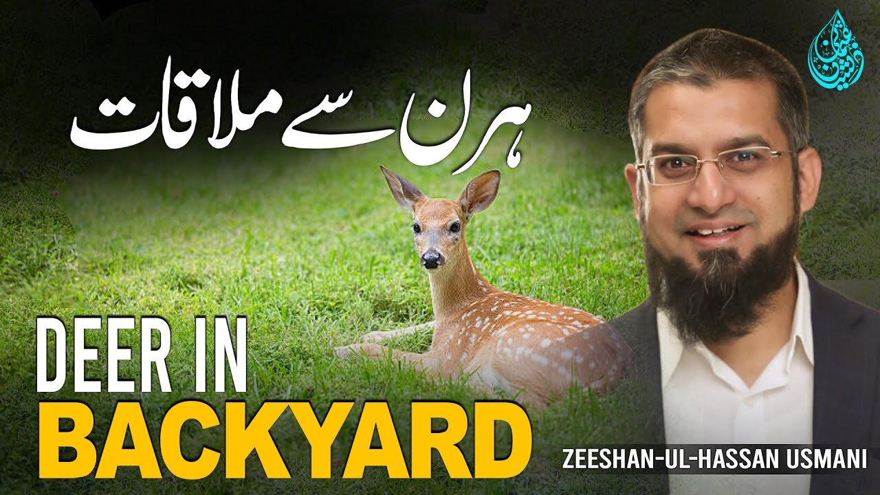 Deer in Backyard | ہرن سے ملاقات | Zeeshan Usmani