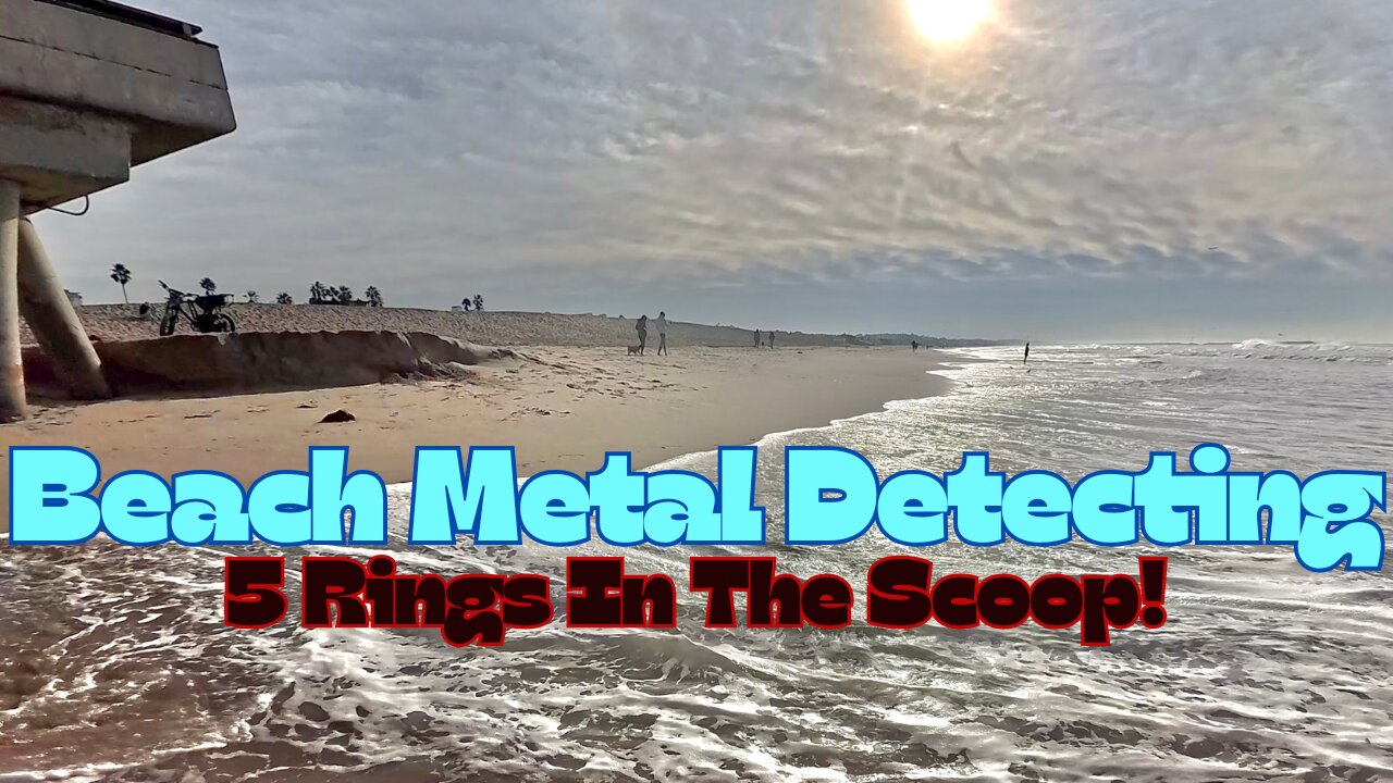 Beach Metal Detecting 5 rings In The Scoop !