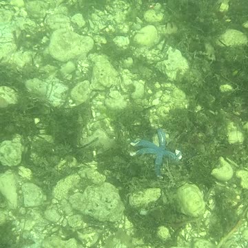 Any Day Snorkeling Is A Good Day!!