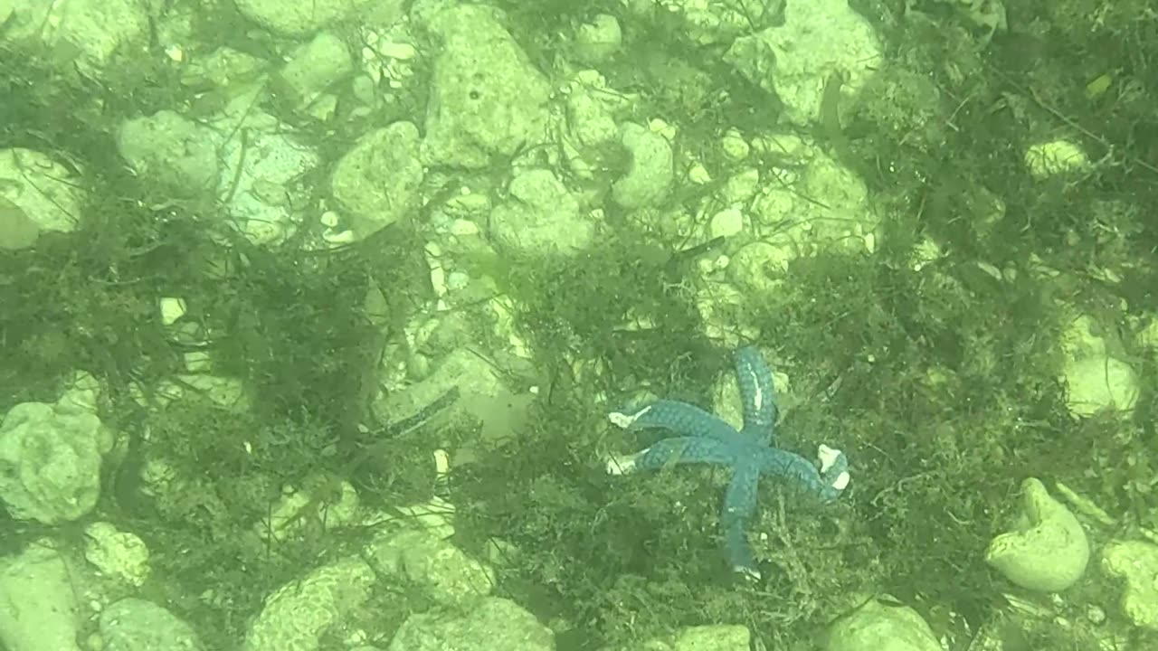 Any Day Snorkeling Is A Good Day!!