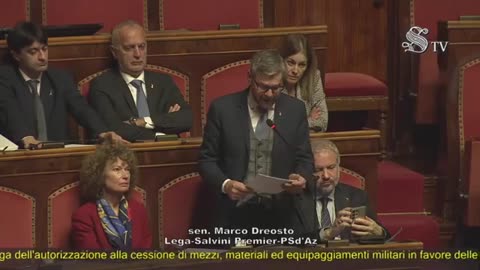 Dreosto - Intervento in Senato (21.01.25)