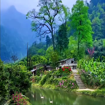 The natural environment of the mountains video 2025 skc.com 1