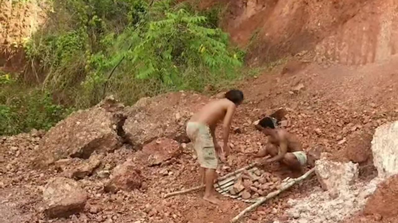Survival