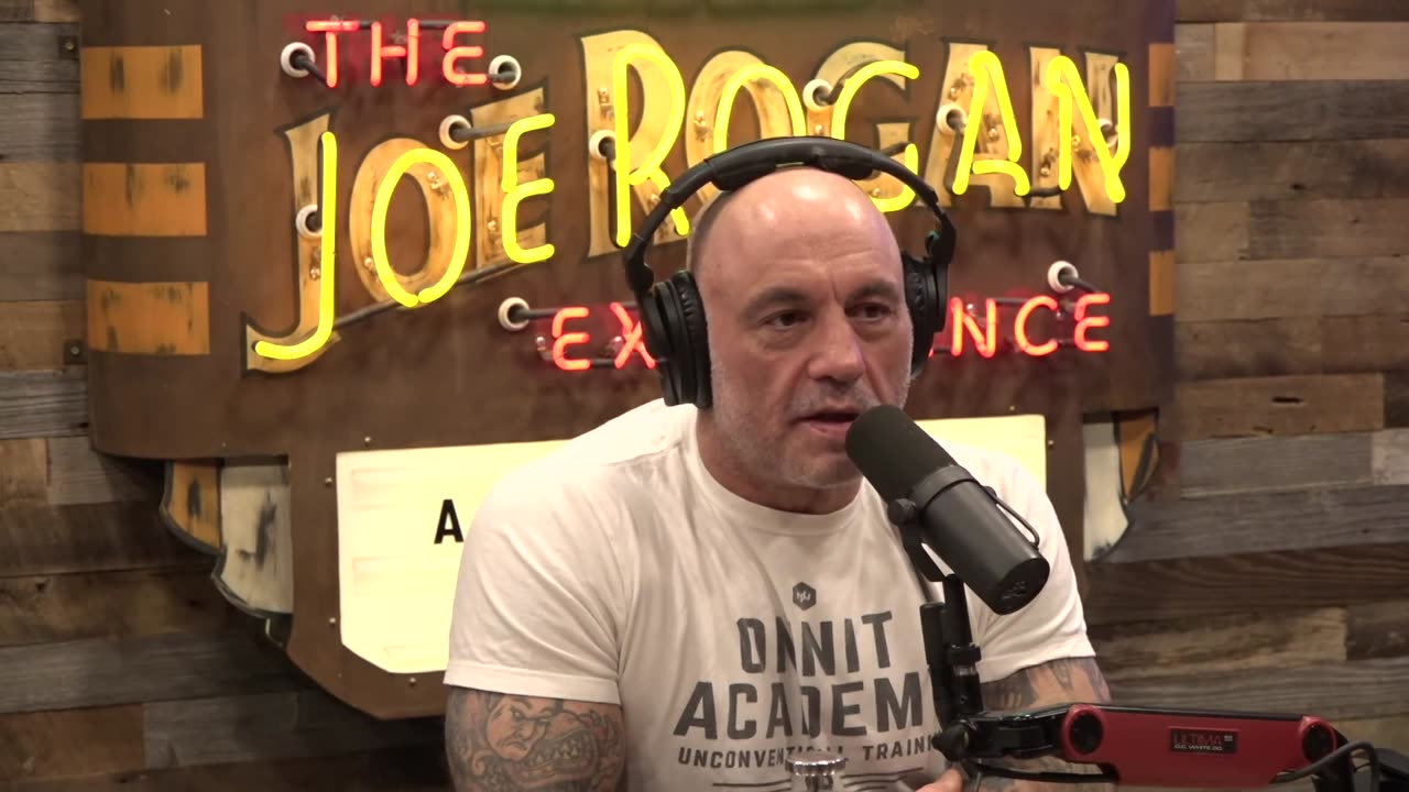 'Bullsh*t Game': Joe Rogan Rips Into People Pretending 'Everyone's Hitler'