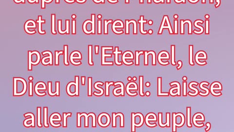 "Moïse et Aaron Demandent la Libération d’Israël" Exode 5:1#shortvideo #shorts #youtube #jesus #yt