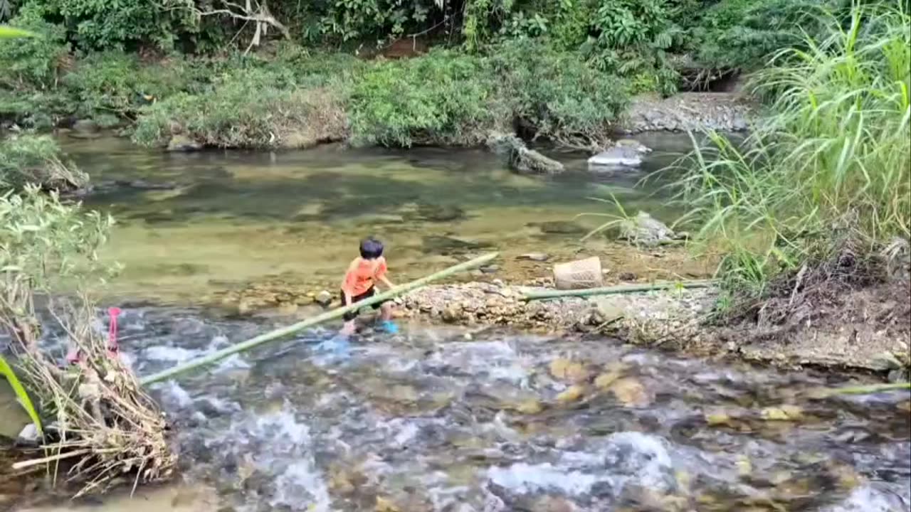 Make a Small Fish Trap||Survival Skills||Survival Video||Make Trap to Use Net||2025