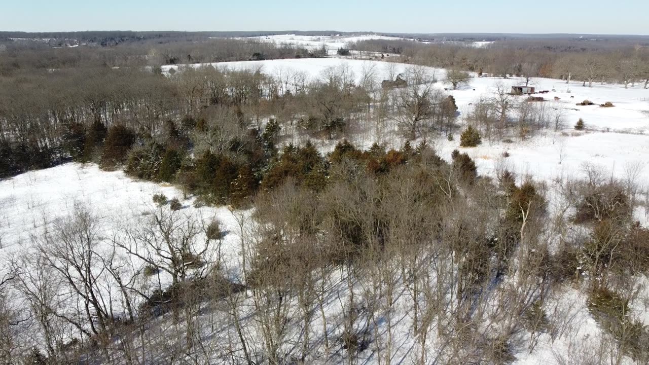 Winter Farm Flight #7 2/5/2022