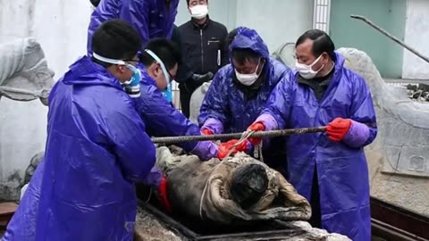 Ancient Tomb Found By Road Workers In China