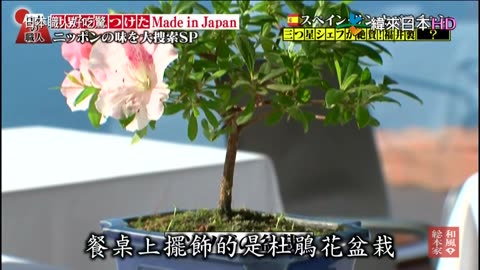 日本職人好吃驚-19代-在世界各地發現的MadeInJapan-味的日本