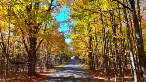 Autumn in Malone, New York