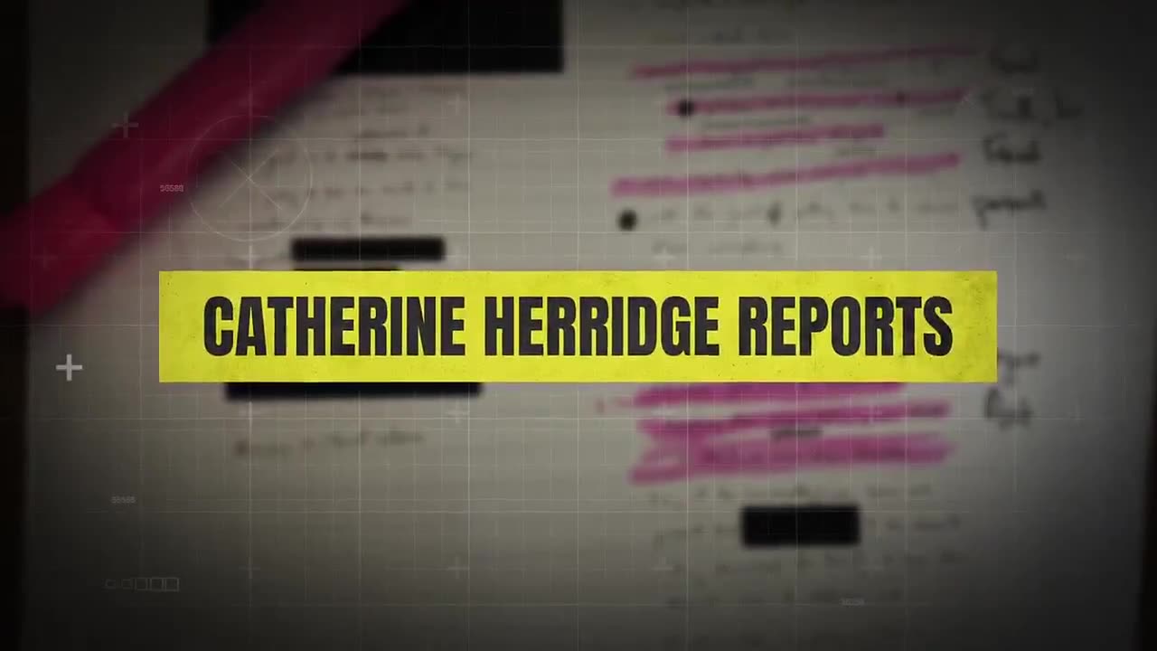 Catherine Herridge dropped another GITMO video 🕰️ Interesting timing.