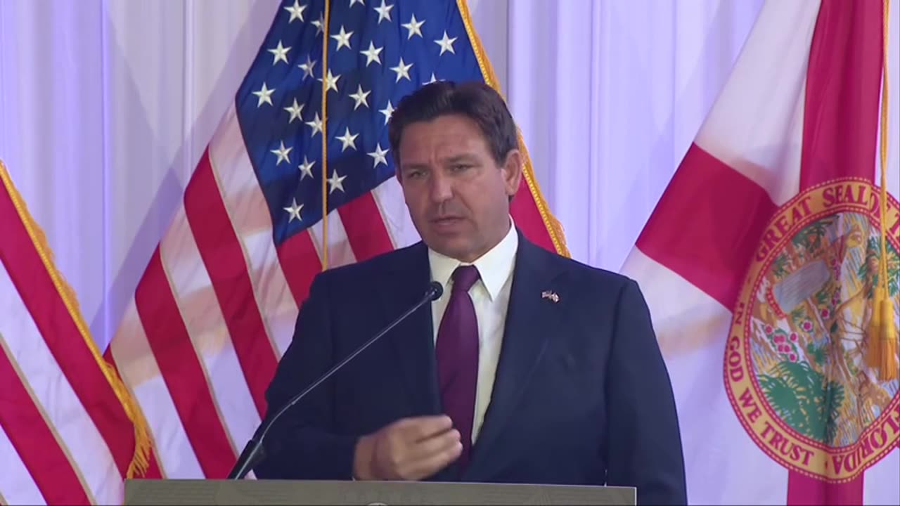 Florida's creating a 'DOGE task force,' DeSantis says