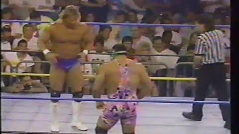 Wcw tag team match with sting