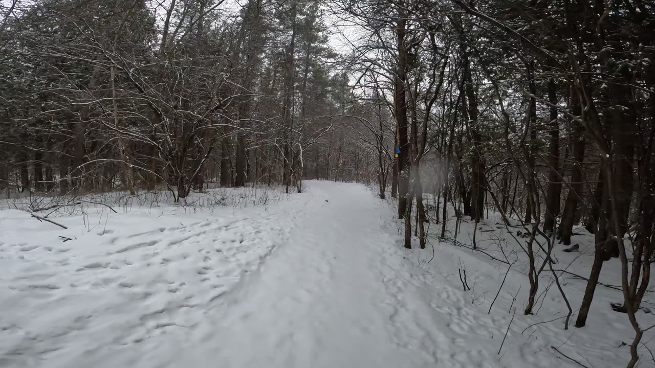 ❄️2025⛷️Winter Hiking⛄ Welcome To Stony Swamp Trails Part 1 in Ottawa ⛷️❄️⛄ Canada 🍁