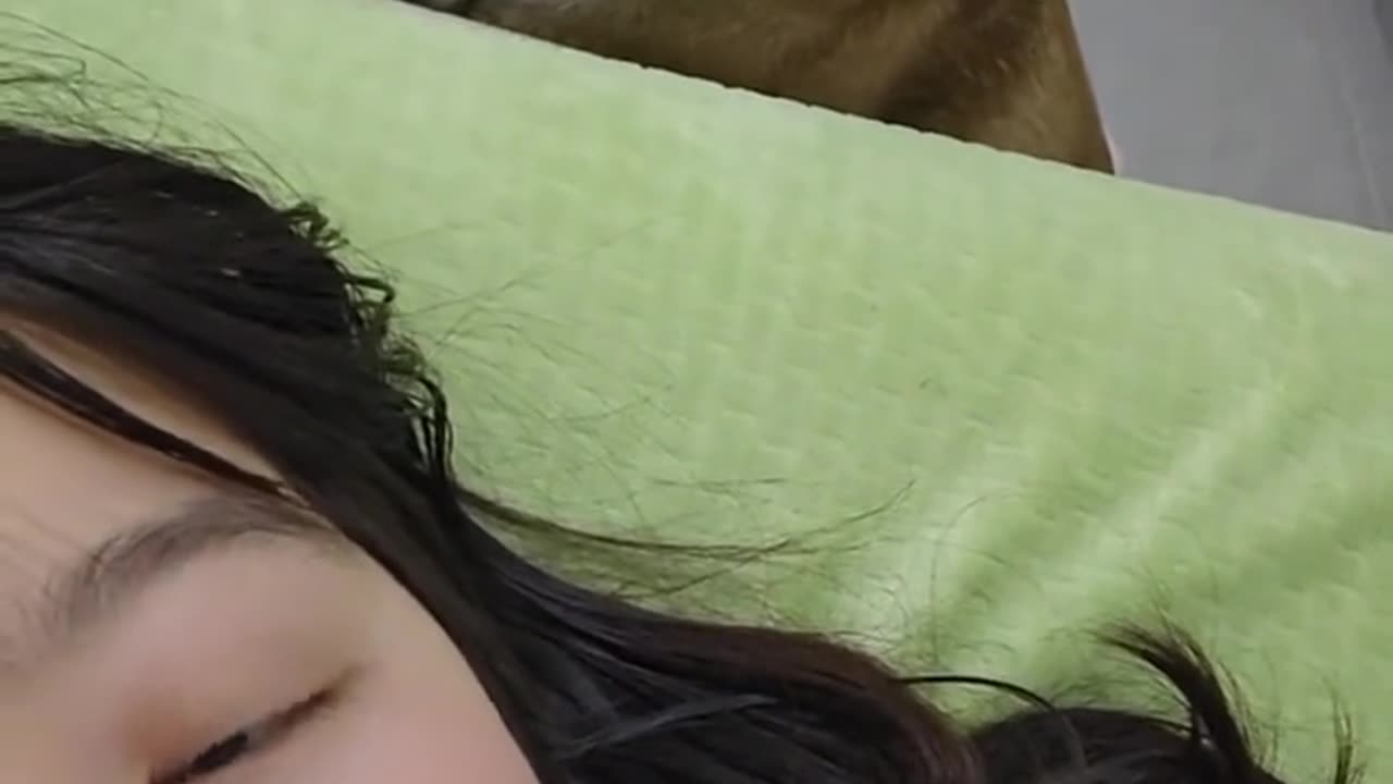 See how dog catches food