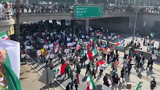 Protestors Shut Down Freeway In L.A Over Mass Deportations