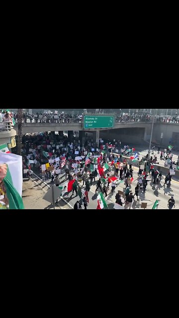 Protestors Shut Down Freeway In L.A Over Mass Deportations