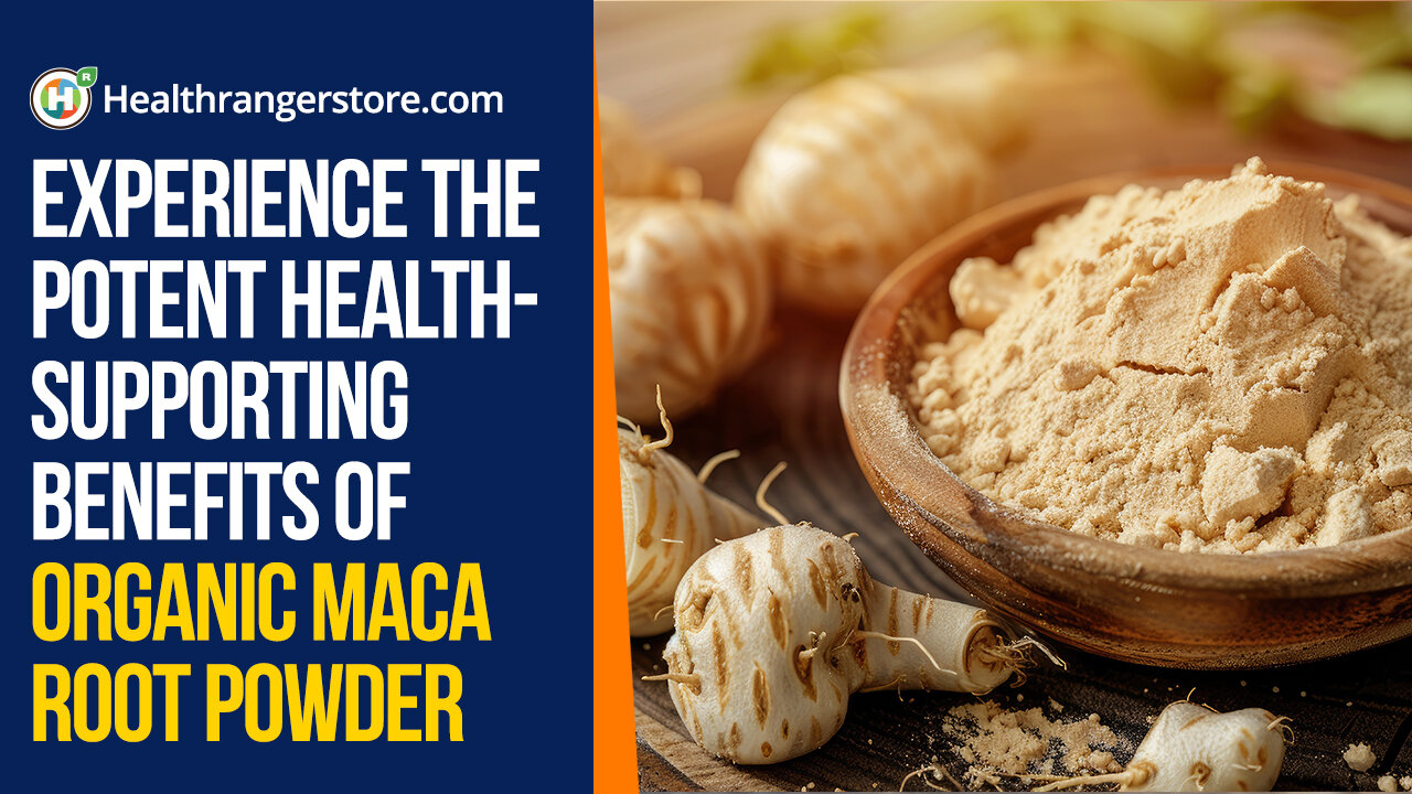 Experience the potent health-supporting benefits of Organic Maca Root Powder