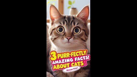 3 Purr-fectly Amazing Cat Facts You Didn’t Know! 🐱✨