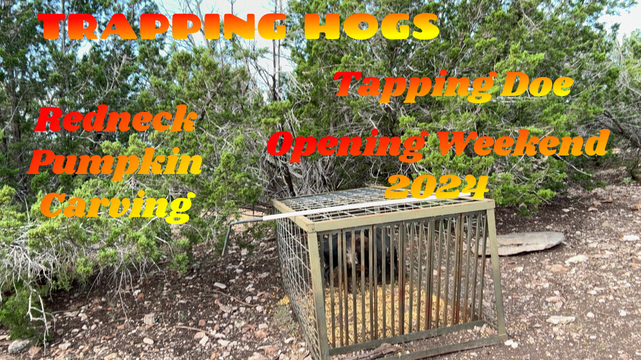 TRAPPING HOGS, TAPPING DOE, & REDNECK PUMPKIN CARVING Opening Weekend 2024 Deer Season