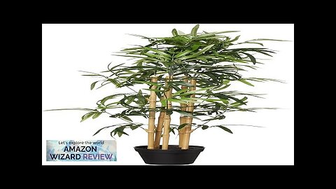 Amazon Basics Artificial Fake Bamboo Plant with Plastic Planter Pot 39.4" Green Review