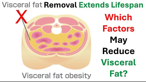 Visceral Fat Removal Extends Lifespan: Which Factors May Reduce Visceral Fat?