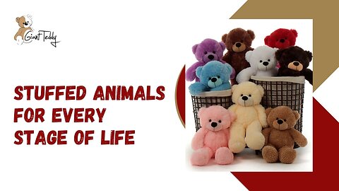 Stuffed Animals for Every Stage of Life