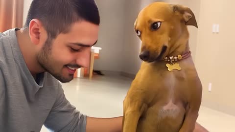 These Dogs Are Freaking Out the Internet 🤣🐶 Funniest Animal Videos 2025
