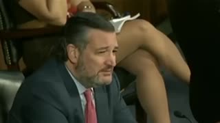 Dem Witness Calls Senator Ted Cruz RACIST, Instantly REGRETS it!