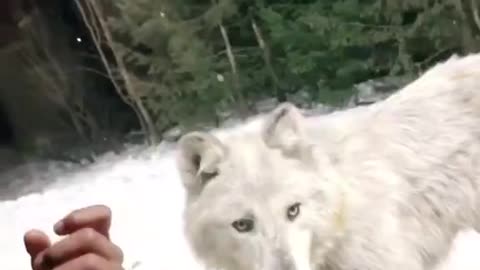 This is insanely beautiful and scary at the same time
